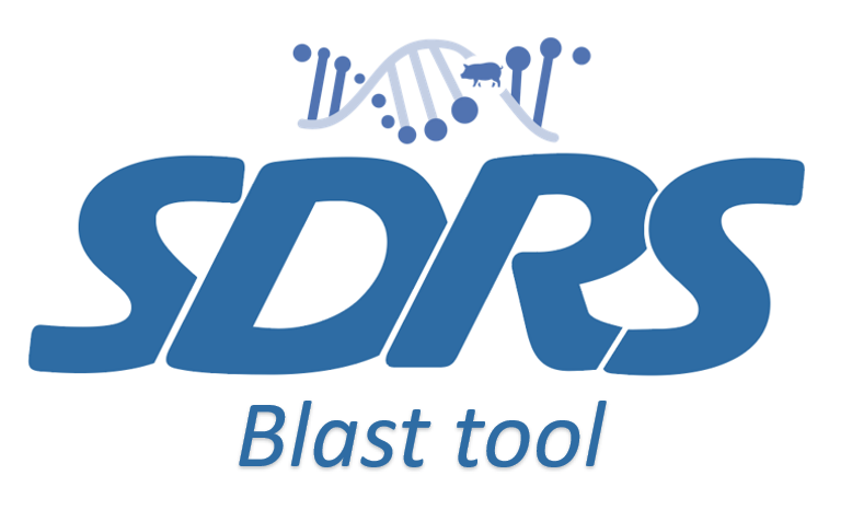 Blast Tool Logo